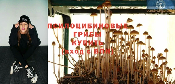 ешки Беломорск