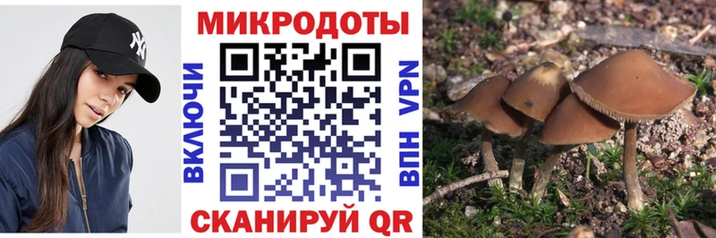 blacksprut ссылка  Высоцк  Галлюциногенные грибы Cubensis 